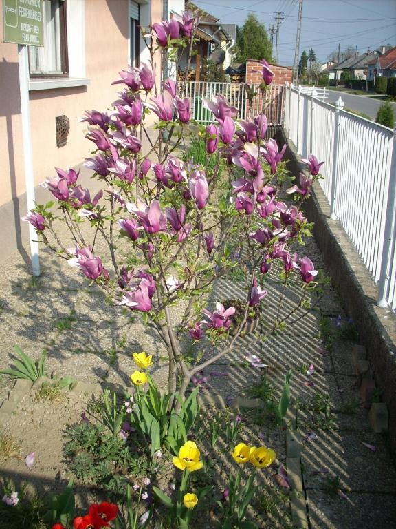Bundics Vendégházak Lenti Esterno foto